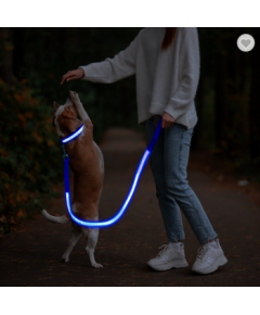 ILLUMINATING WALKING NIGHT GLOWING USB RECHARGEABLE LED DOG LEASH